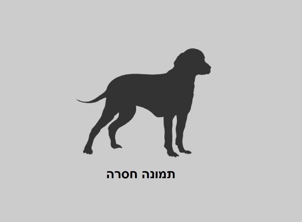 תמונה חסרה